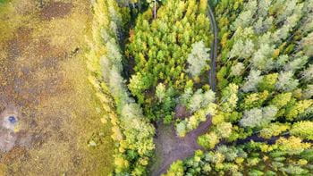 Säästöpankin brändikuva.