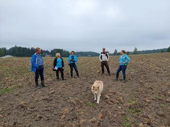 Säästöpankin maa- ja metsätalousasiantuntijat olivat tutustumassa Vierelän tilaan. Kuvassa henkilöt pellolla koiran kanssa.